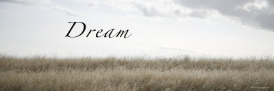 Dream Meadow Premium Poster Dream Meadow Premium Poster