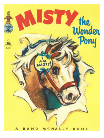 Misty the Wonder Pony Photographic Print Misty the Wonder Pony Photographic Print