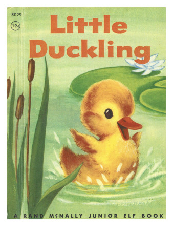 Little Duckling Photographic Print Little Duckling Photographic Print