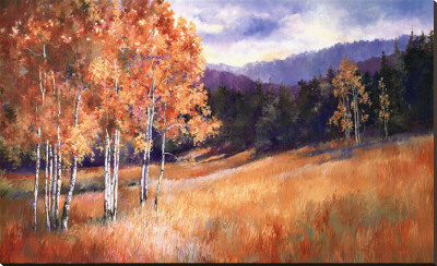 Luminous Aspens Stretched Canvas Print Luminous Aspens Stretched Canvas Print