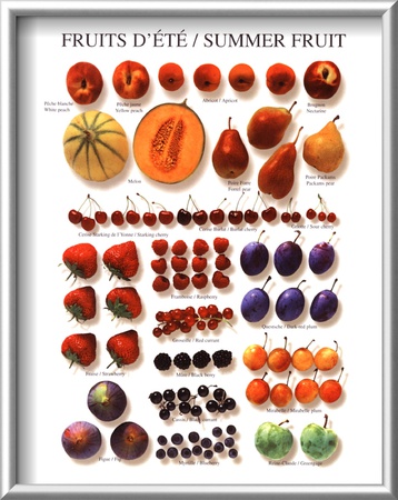 Summer Fruit Framed Print Summer Fruit Framed Print