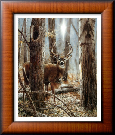 Deer Framed Print Deer Framed Print