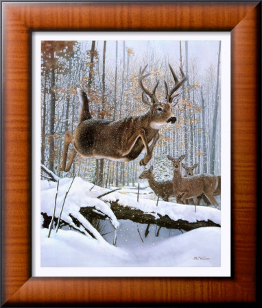 Leaping Deer Framed Print Leaping Deer Framed Print