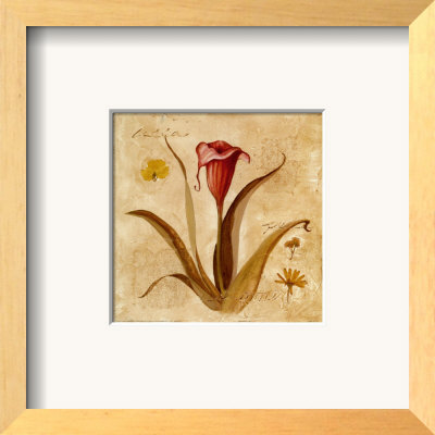 Red Calla Lily Framed Print Red Calla Lily Framed Print