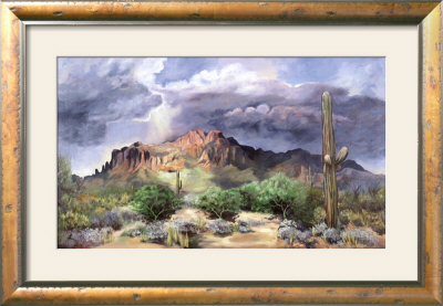 Monsoon Season Framed Print Monsoon Season Framed Print