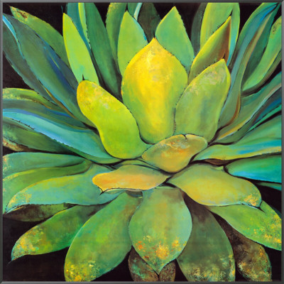 Agave Framed Canvas Print Agave Framed Canvas Print
