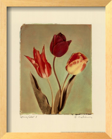 Spring Color I Framed Print Spring Color I Framed Print