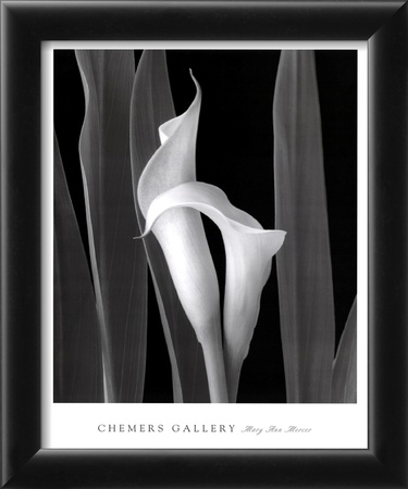 Embrace Framed Print Embrace Framed Print
