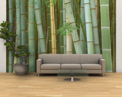 Forest wallpaper mural