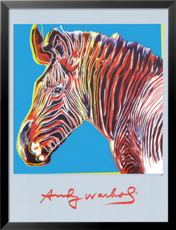 Zebra Framed Print Zebra Framed Print