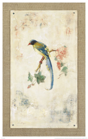 Blue Magpie Print Blue Magpie Print