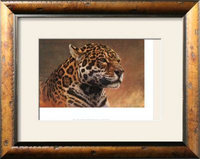 Jaguar Framed Print Jaguar Framed Print