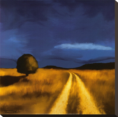 The Way Home Stretched Canvas Print The Way Home Stretched Canvas Print