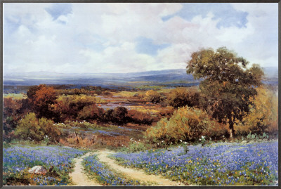 Texas Spring Framed Canvas Print Texas Spring Framed Canvas Print