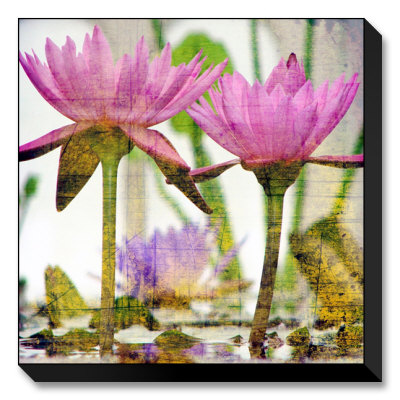 Waterlilies II Limited Edition on Canvas Waterlilies II Limited Edition on Canvas