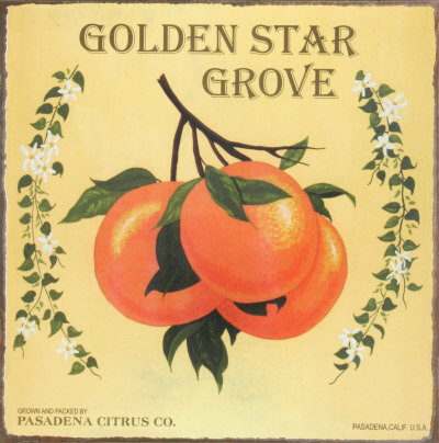 Golden Star Grove Tin Sign Golden Star Grove Tin Sign