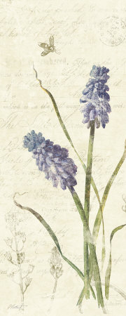 Hyacinth Panel Print Hyacinth Panel Print