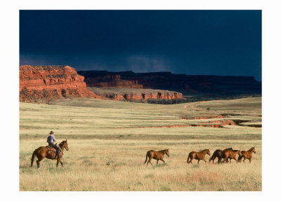 Homeward Bound Print Homeward Bound Print