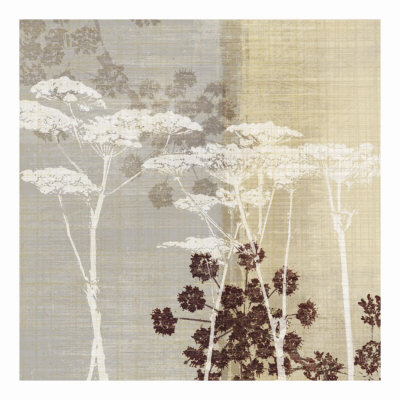 Lace I Print Lace I Print