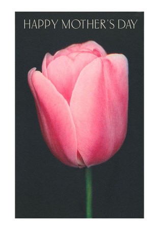 happy mothers day pictures print. Happy Mother#39;s Day, Pink Tulip