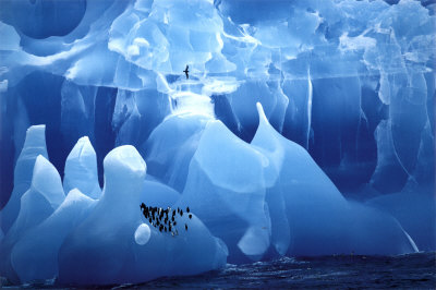Antartic Wonderland Poster Antartic Wonderland Poster