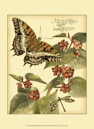 Whimsical Butterflies II Print Whimsical Butterflies II Print