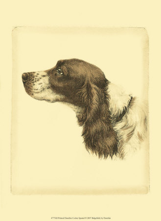 Danchin Cocker Spaniel Print Danchin Cocker Spaniel Print
