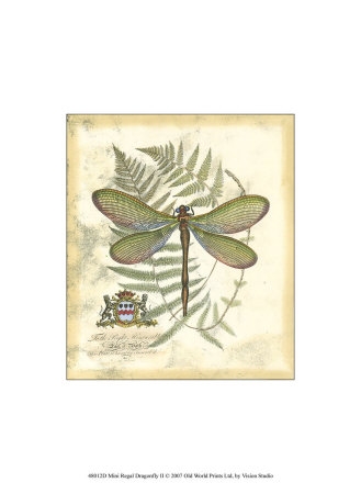 Regal Dragonfly II Print Regal Dragonfly II Print