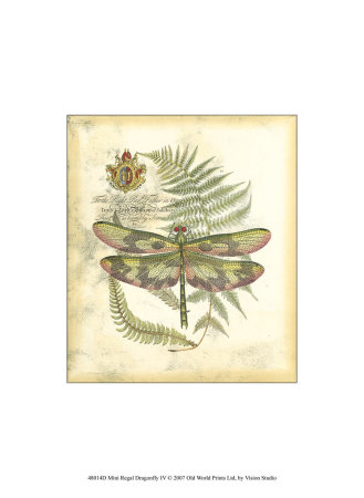 Regal Dragonfly IV Print Regal Dragonfly IV Print
