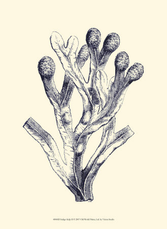 Indigo Kelp II Print Indigo Kelp II Print