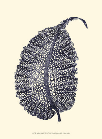 Indigo Kelp IV Print Indigo Kelp IV Print