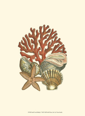 Coral Medley I Print Coral Medley I Print