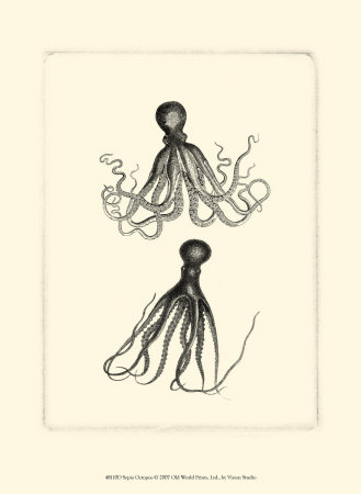 Sepia Octopus Print Sepia Octopus Print