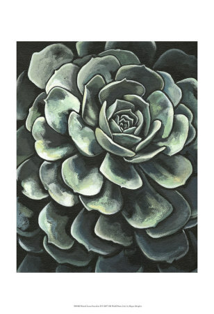 Lunar Succulent II Print Lunar Succulent II Print