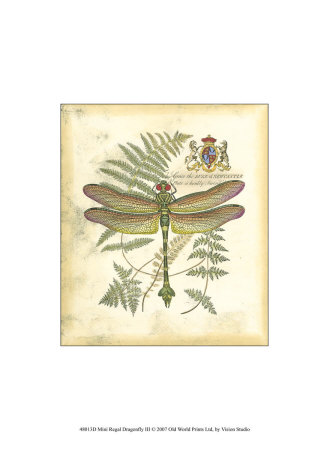 Regal Dragonfly III Print Regal Dragonfly III Print