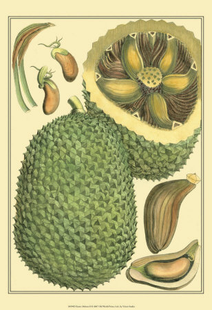Exotic Melons II Print Exotic Melons II Print