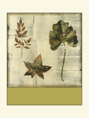Leaf Etching III Print Leaf Etching III Print