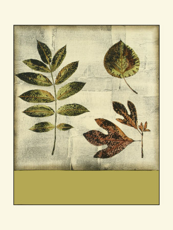 Leaf Etching I Print Leaf Etching I Print