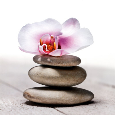 Orchidee aux Galets Print Orchidee aux Galets Print