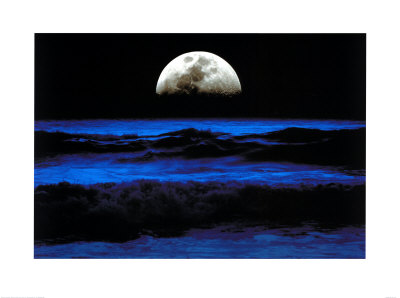 Contemplation Print Contemplation Print