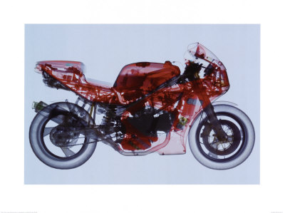 X-Ray Bike Print X-Ray Bike Print