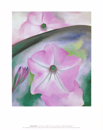Petunia no. 2 Print Petunia no. 2 Print