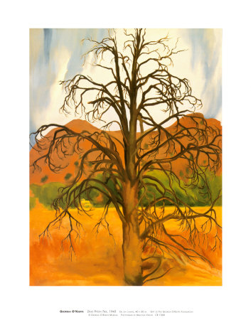 Dead Pinon Tree Print Dead Pinon Tree Print