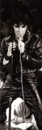 Elvis Presley Poster Elvis Presley Poster