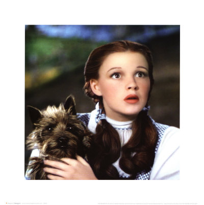 The Wizard Of Oz Print The Wizard Of Oz Print