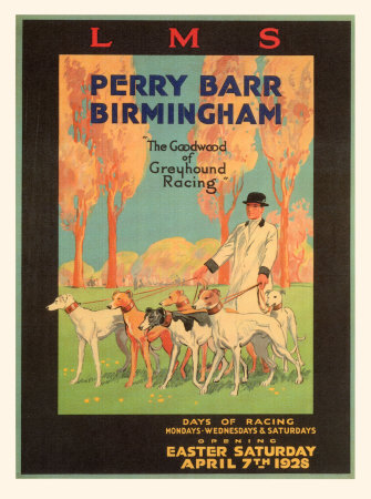 Greyhound Racing Masterprint Greyhound Racing Masterprint