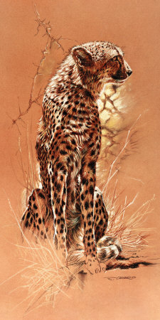 Cheetah Print Cheetah Print