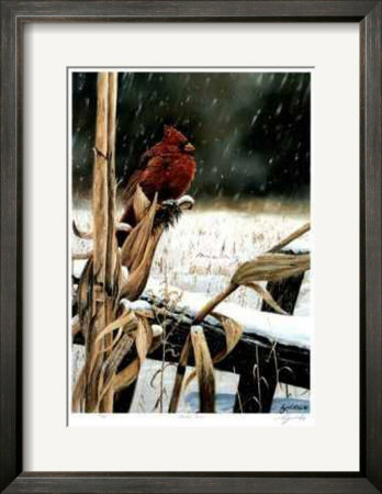 Winter Corn Framed Print Winter Corn Framed Print