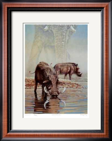 Tsavo Waterhole Framed Print Tsavo Waterhole Framed Print