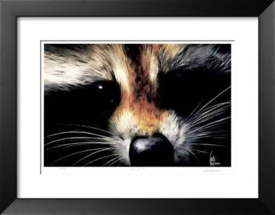 The Bandit Framed Print The Bandit Framed Print
